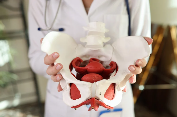 Pelvic Floor Disorders:  ﻿The Silent Condition Affecting Millions (and How Physical Therapy Can Help)